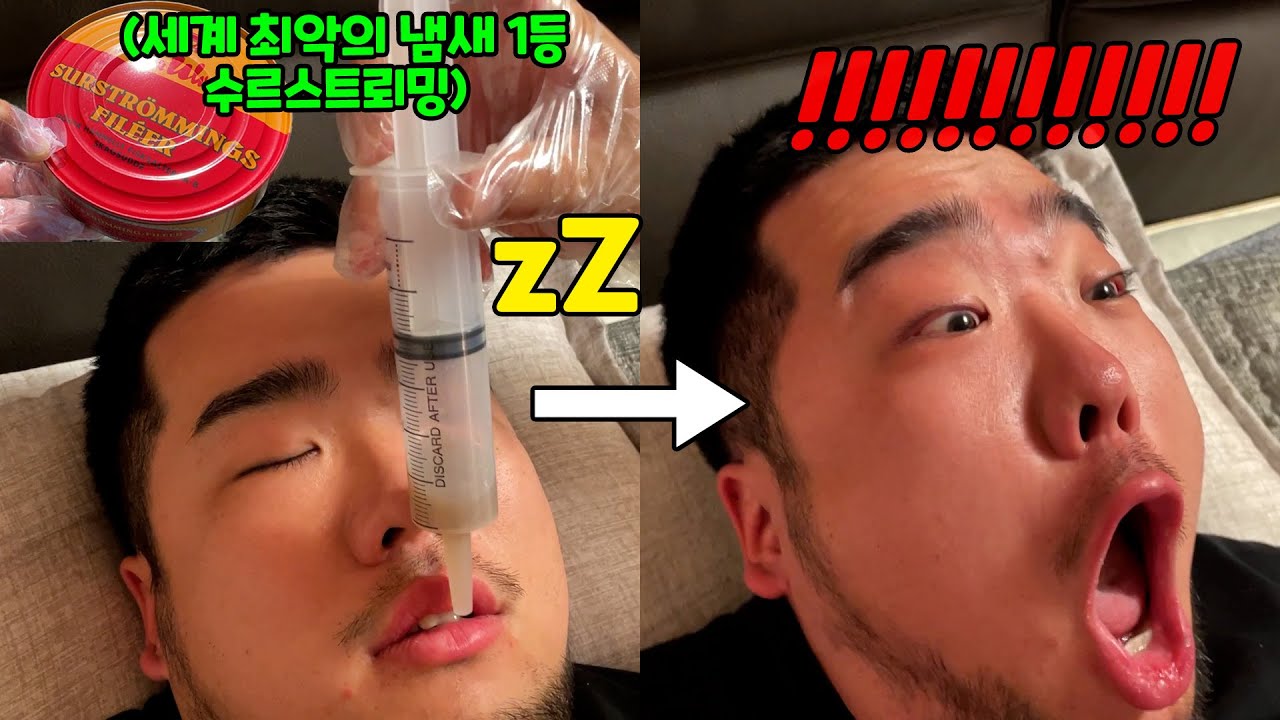 세상에서 가장 악취나는 음식 수르스트뢰밍 먹여서 잠깨우기ㅋㅋㅋ