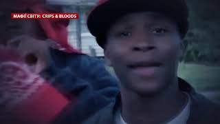 картинка: Crips & Bloods, Мафии мира