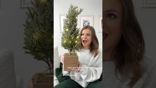 a Christmas haul from my fav cvs