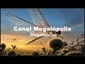 CARBONÍFERO (Meganeuropsis) Secuencias  -  Documentales