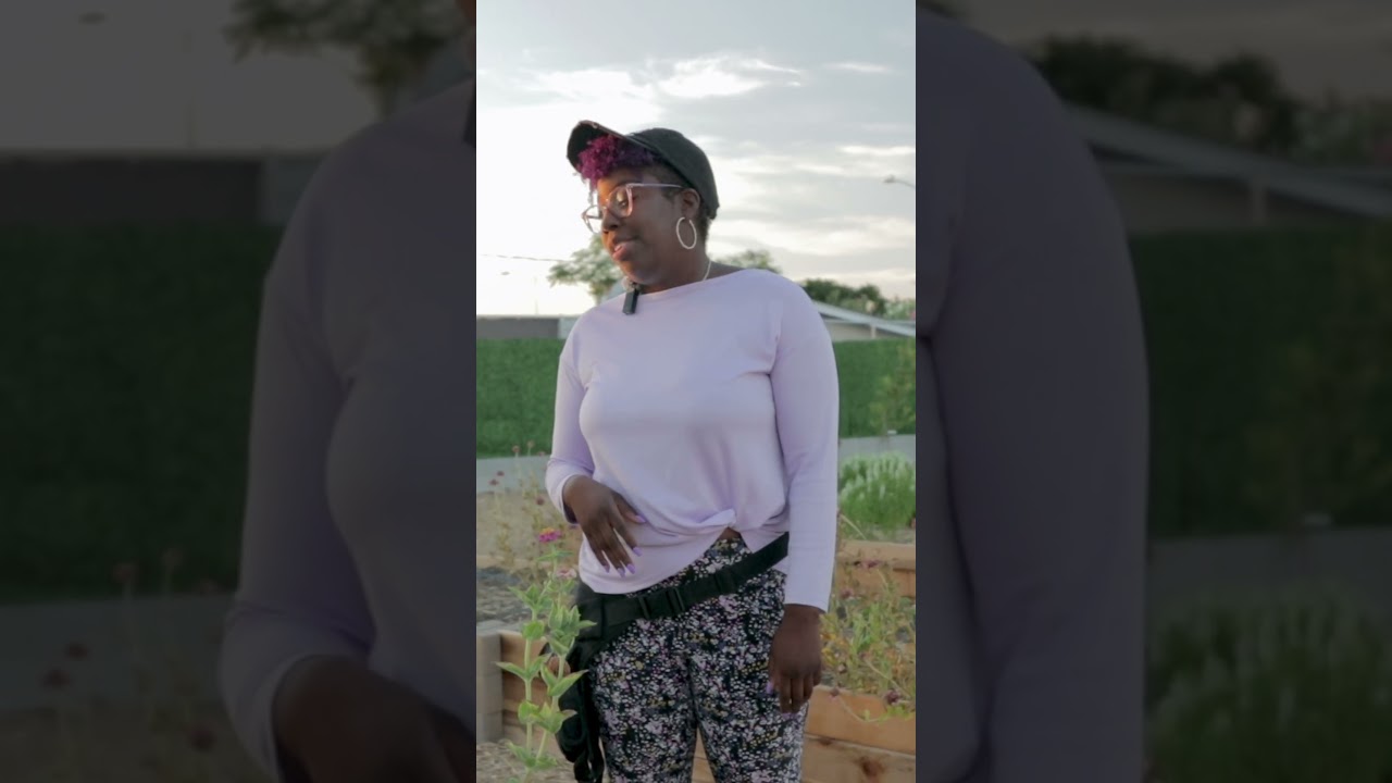 Farming in Las Vegas Desert 