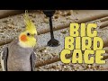 We build a big bird cage for our cockatiels - DIY Large Bird Cage