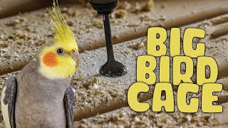 We build a big bird cage for our cockatiels  DIY Large Bird Cage