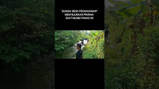 Menyejukkan Pikiran Di Sungai Desa Pegunungan Saat Musim Panas shorts petualangan