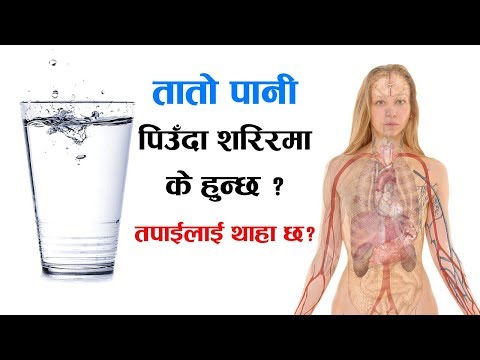 तातो पानी पिउँदा शरिरमा के हुन्छ ? तपाईलाई थाहा छ ? What Happens When You Drink Hot Water Every Day