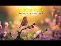 MORNING MUSIC - Awaken Your Soul with Calm & Beauty - Soft Morning Meditation Music For Stress