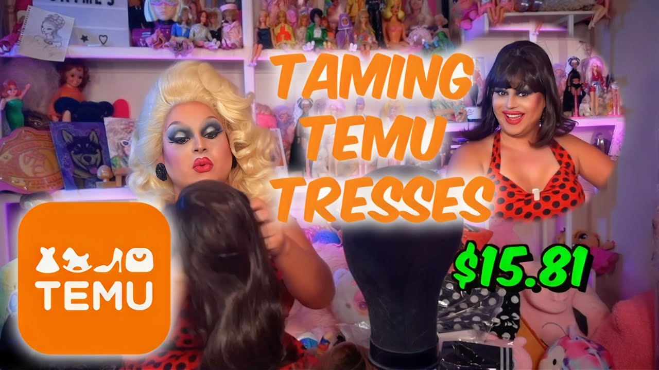 TEMU Haul! Let's Style a Temu Wig