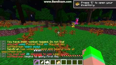 cheater on savagerealms