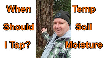 When Should I Tap My Maple Trees?