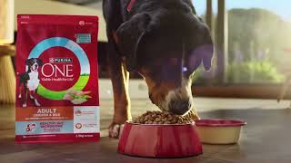 PURINA ONE® Dry Dog Food. Advanced tailored nutrition for dogs.