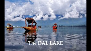 Kashmir - Dal Lake | Shikara Boat Ride part 1 | Nature - 4K screenshot 2