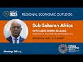 Press Briefing - Regional Economic Outlook: Sub-Saharan Africa, April 2020