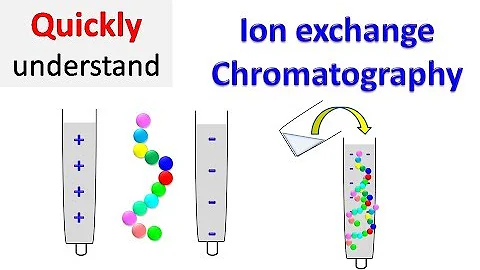 Ion exchange chromatography