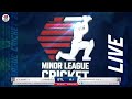Michigan Cricket Stars vs St. Louis Americans | Match #20