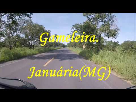 Gameleiras Minas Gerais fonte: i.ytimg.com