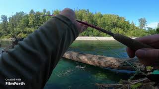 Crystal clear creek fishing for big Alaskan Rainbow trout