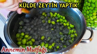Külde Zeytin Nasıl Yapılır? (Hatay/Antakya Yöresinde Meşhur)