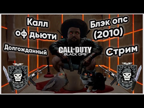 видео: Бэбэй в Call of Duty: Black Ops (29.04.2024)