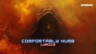 Pink Floyd  Comfortably Numb (Lyrics)