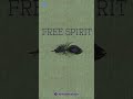 Onde está o meu amor v1 - Banda Free Spirit