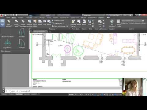 AutoCAD 2015: Galleries - Lynn Allen