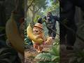 Mota Billi vs Gorilla 🍌🦍