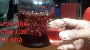 cách ngâm rượu nho rừng