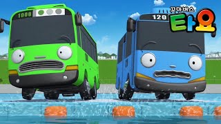 imgen video