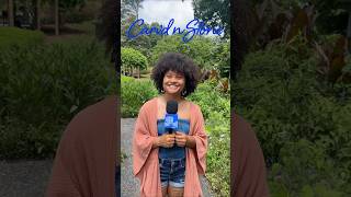 CNS News Brief: Advice for the high-achieving Black woman