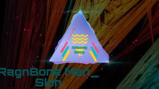 Rag'n'Bone Man - Skin