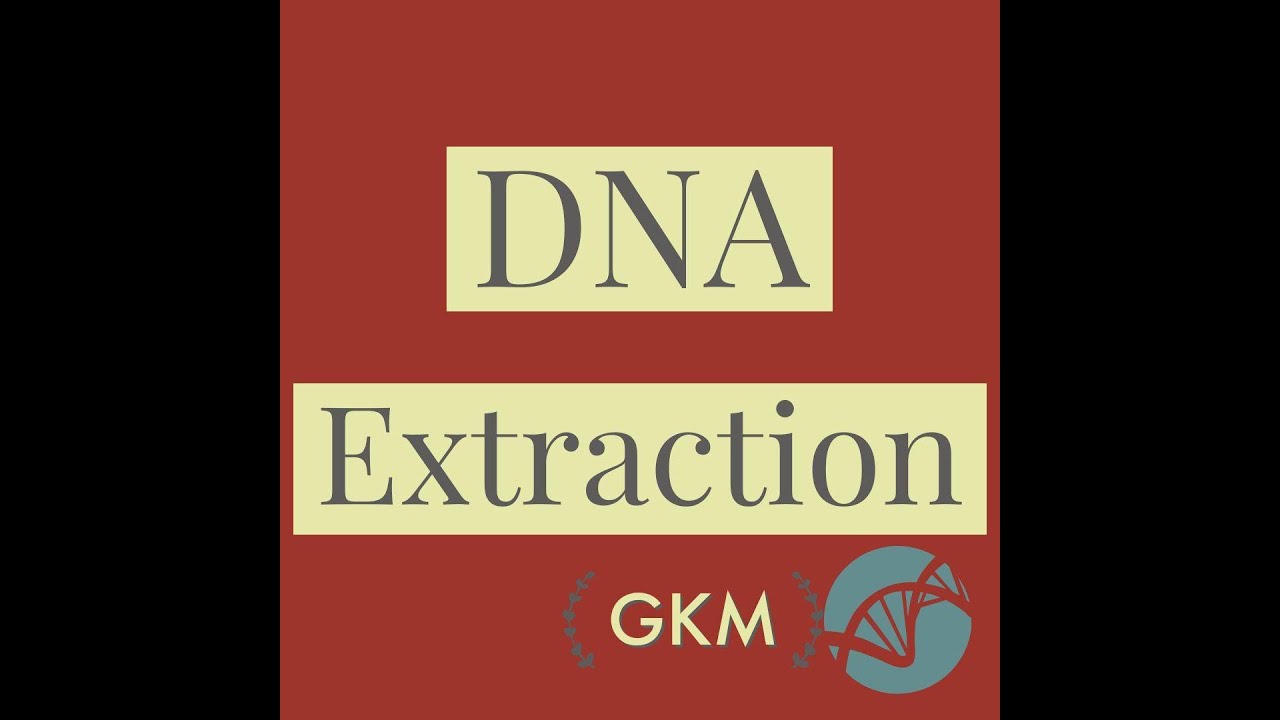 gkm - DNA Extraction  | استخلاص الحامض النووي الرايبي منقوص الأوكسجين (دنا)