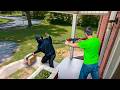 When Package Thieves Get Instant Karma | Caught On CCTV #4