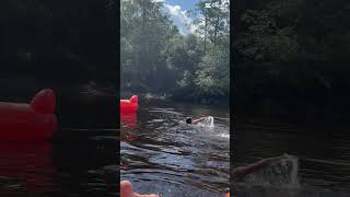 Best Day River Tubing, Great for All Ages @edistoriveradventures834