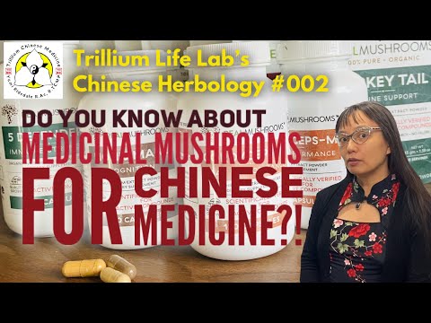 Shiitake Mushroom Chinese Medicine