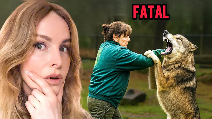 4 FATAL CAPTIVE WOLF ATTACKS EXPLAINED
