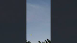 Lua Vista Pelo Meu Telescópio