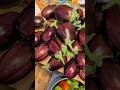 🍆🫑Final Harvest Before First Frost... #abundantharvest