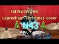 N43【TM NETWORKLeprechaun Christmas cover】