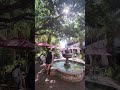 Beautiful Memories in St. Augustine Florida #memories #travel #sunday #tour #cafe #shorts #쇼츠