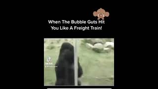 When The Bubble Gut Hits You