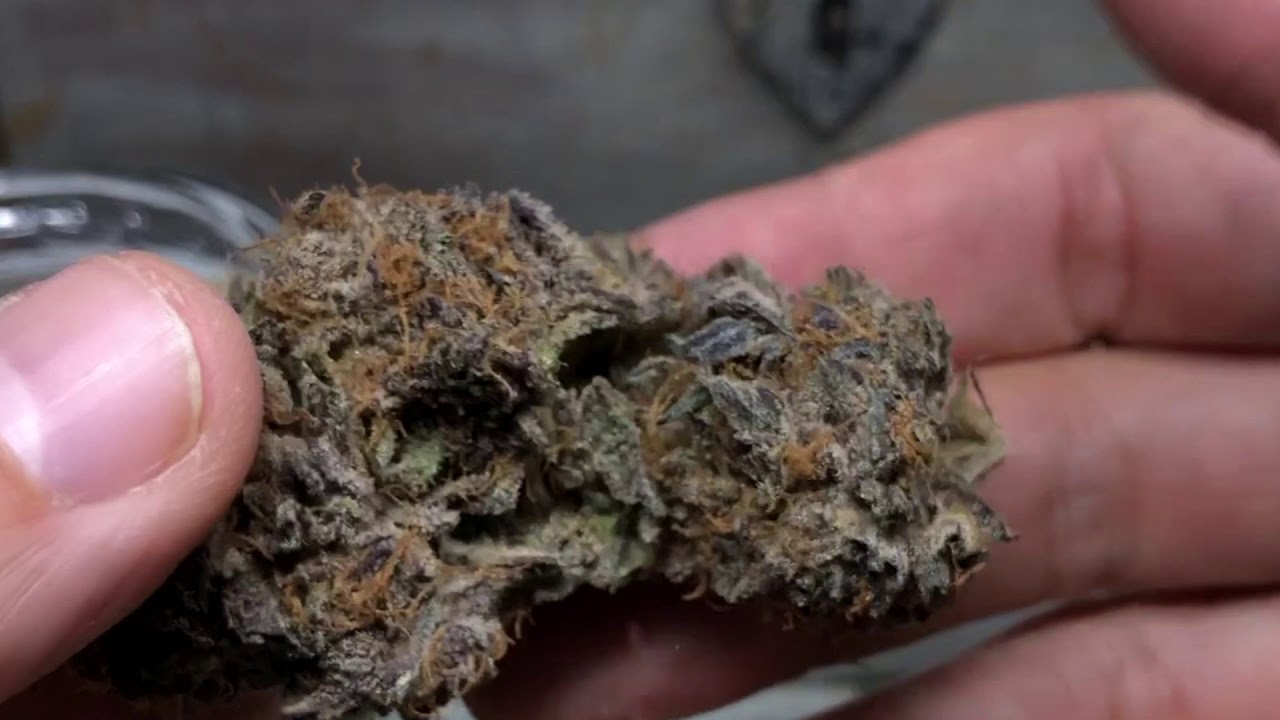 Coffeeshop Classics Ritual