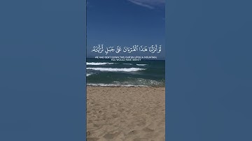 #سورة_الحشر #ياسر_الدوسري #قرآن #راحة_نفسية