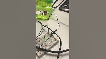 LED Blinking with a Push Button