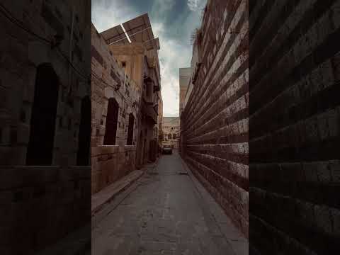 ثبت جذورك في التراب