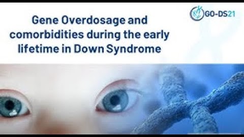 GO-DS21 – Introduction