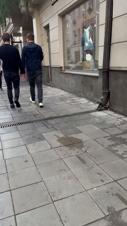 Патриаршие пруды / Патрики / Москва / Прогулка по Москве #москва # ...