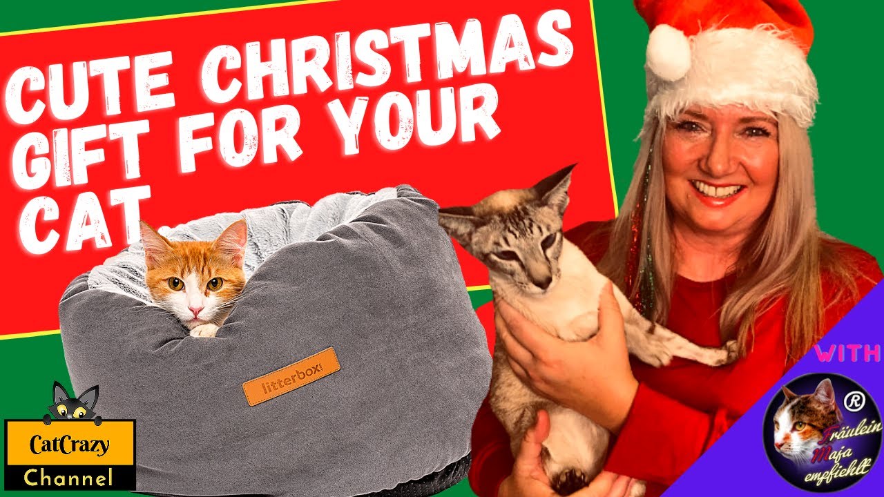 😻 CatCrazy: Last-Minute Christmas gift for your cat