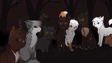 The devil within - Dark Forest Warriors