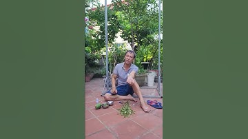 hướng cách sơ cứu rắn độc cắn vào vị chí khó garo