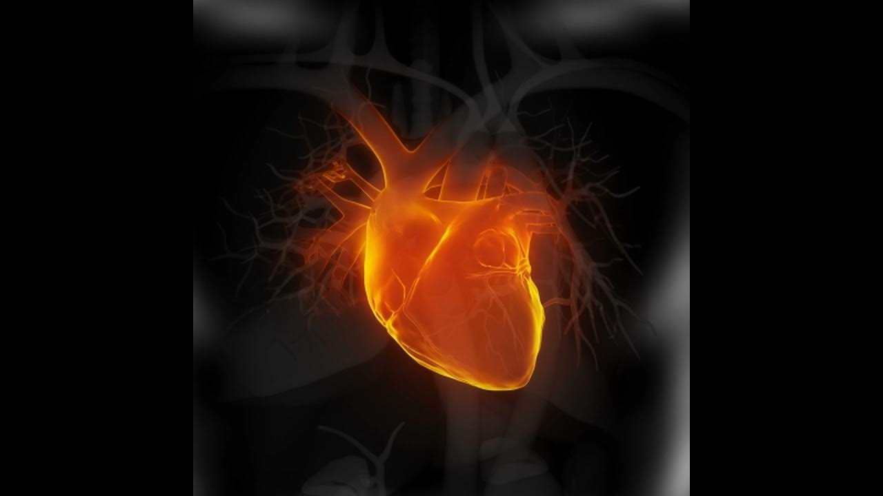 (FREE) REAL FAST HEARTBEAT SOUND EFFECT YouTube